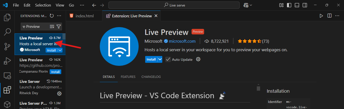 VS Code Preview Button
